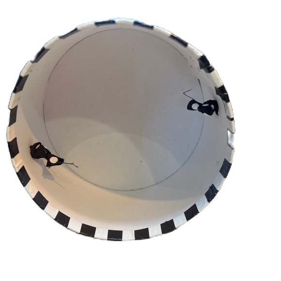 Henri Bendel Brown and Cream Striped Hat Box - Picture 7 of 12